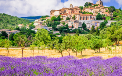 Sensations of Lyon and Provence River Cruise