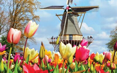 Tulip Time on Jewels of the Rhine