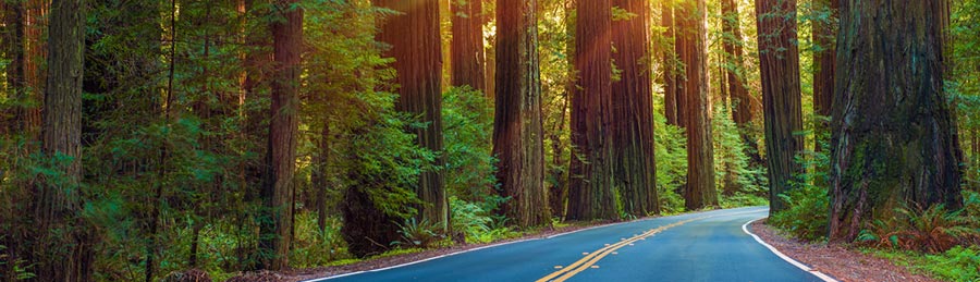 Discover the Pacific Northwest & California - Image 5