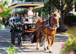 Savannah Nights and Carolina Christmas - Image 4