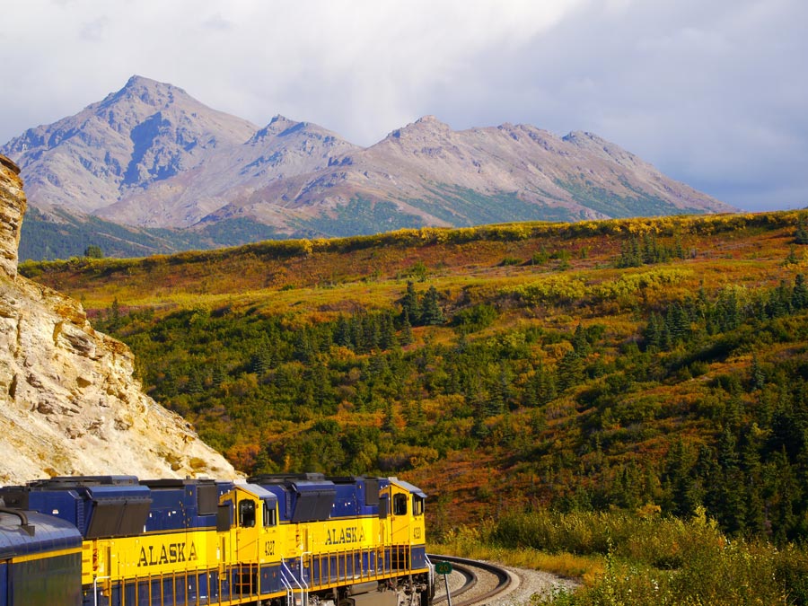 Alaska Discovery Land & Cruise - Image 4