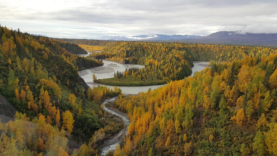 Alaska Discovery Land & Cruise - Image 3