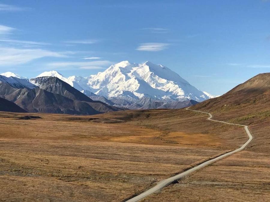 Alaska Discovery Land & Cruise - Image 8