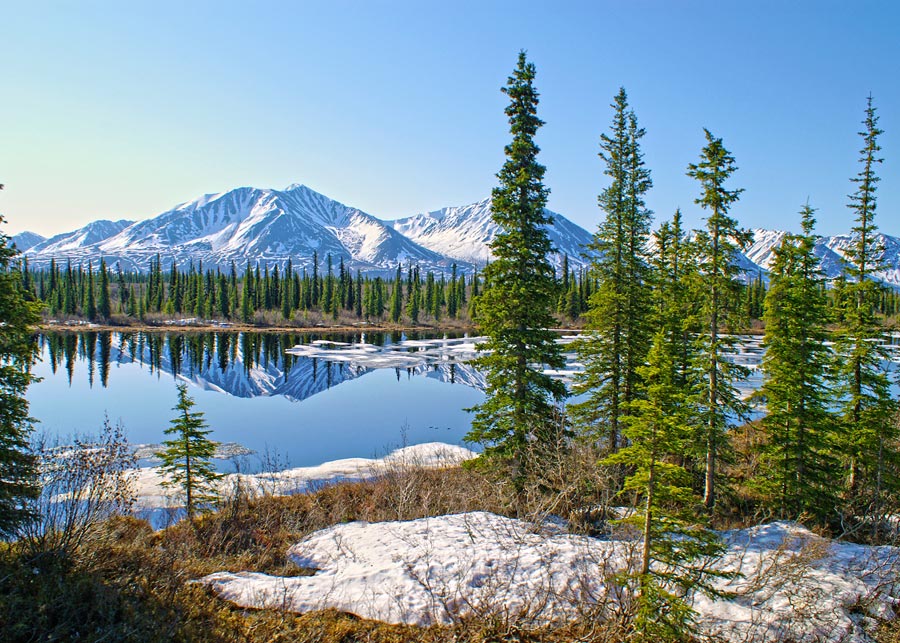Alaska Discovery Land & Cruise