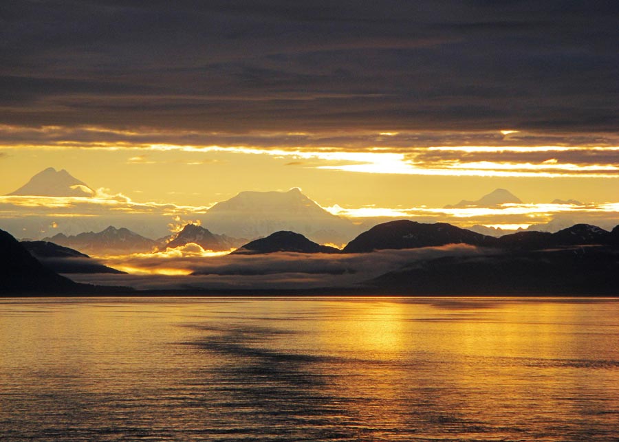 Alaska Discovery Land & Cruise - Image 13