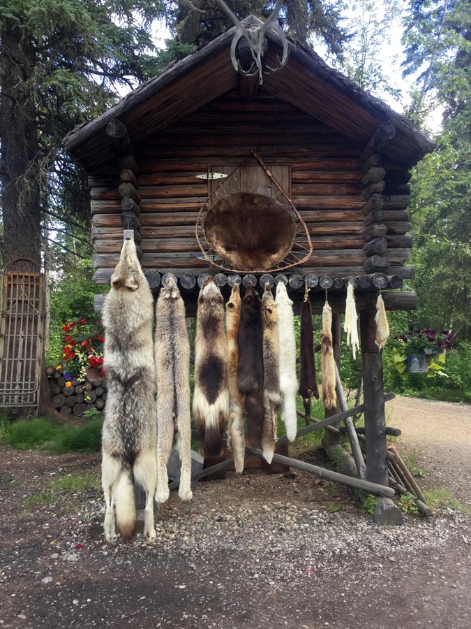 Alaska Discovery Land & Cruise - Image 19