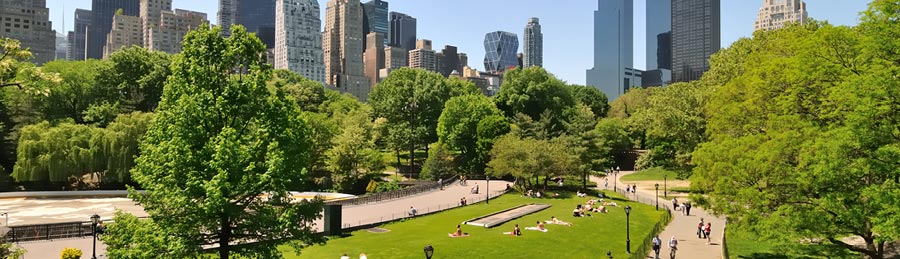 Discover Spotlight on New York City Holiday - Image 3