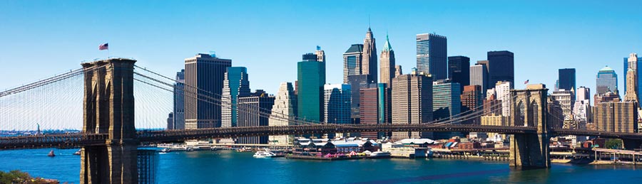 Discover Spotlight on New York City Holiday - Image 2