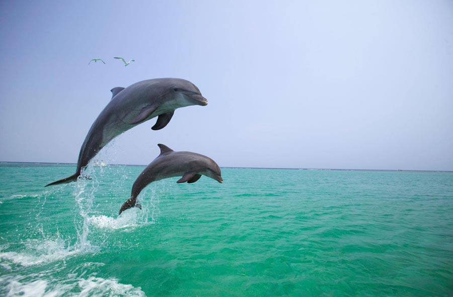 Keys To Paradise - Image 11