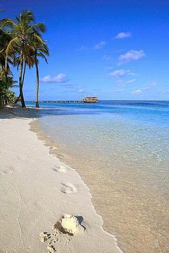 Keys To Paradise - Image 6